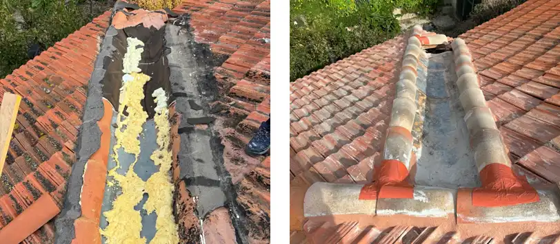 Installation de chéneaux avant/après à Nice
