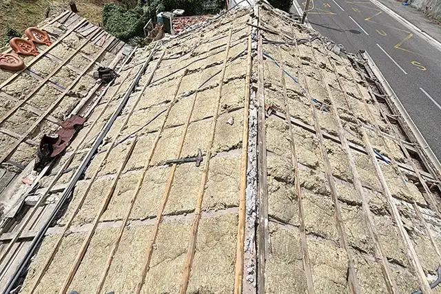 Dépose du toit
